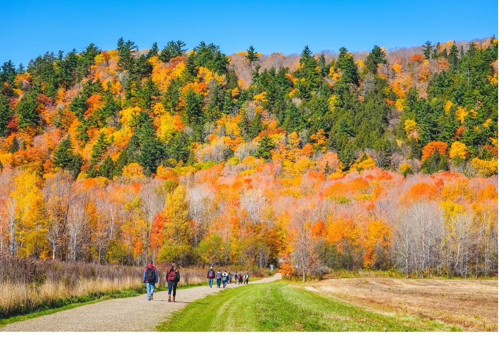 Randonneurs sur un sentier de la Côte-de-Beaupré sous les couleurs d'automne flamboyantes